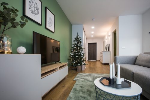 Sūnaus gimtadienio proga laimėjo butą sostinėje