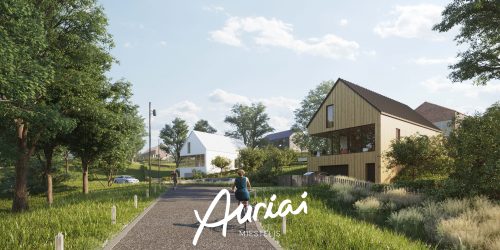 Lietuvoje startuoja sklypų pardavimai bitcoin'ais