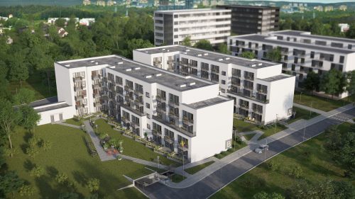 Lietuviško investavimo ypatumai: vyrams – bitkoinai, moterims – butai