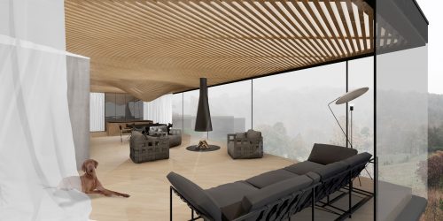 Pavilniui – geros architektūros idėjos