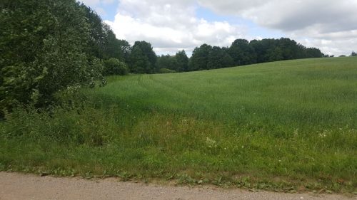 Parduodami 2 žemės ūkio paskirties sklypai