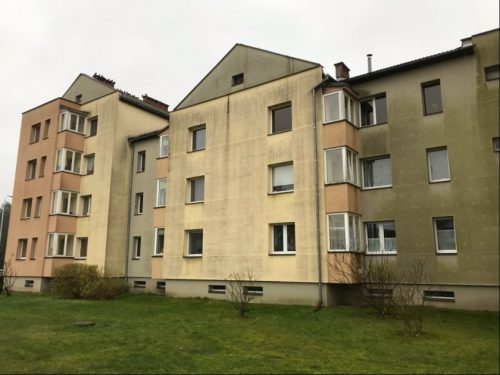 Pažaliavusi renovacijos mažiausia kaina