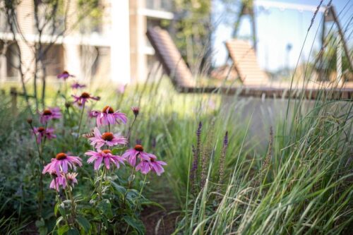 Prie Vilniaus žaliosios bangos prisijungusi „Realco“: NT vystytojai privalo galvoti ne tik apie betoną, bet ir žaliąsias erdves