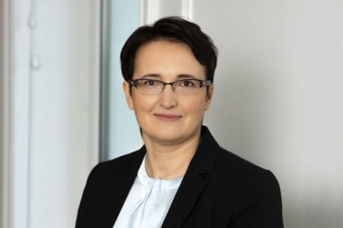 D. Stakvilevičiūtė. Ar Gedimino kalną išsaugoti turinčios institucijos netaps atsakingos už jo griūtį?