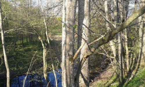 prie upės 147a.  Klaipėdos r.