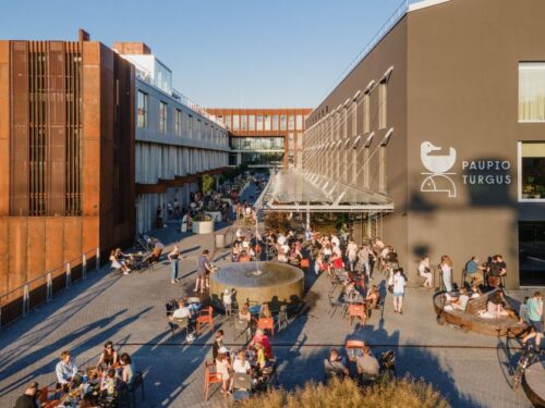 „Paupio turgaus“ populiarumas neslopsta: apyvarta didėjo ir pasiekė 7,150 mln. eurų