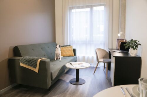 Naujas žaidėjas Vilniaus NT būsto nuomos rinkoje – 500 apartamentų kompleksas ATLAS atsidaro su 50 proc. užimtumu