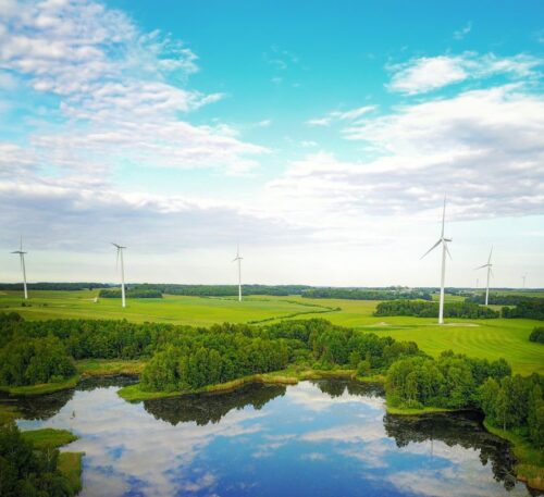 KAIP GIMSTA VĖJO PARKAI