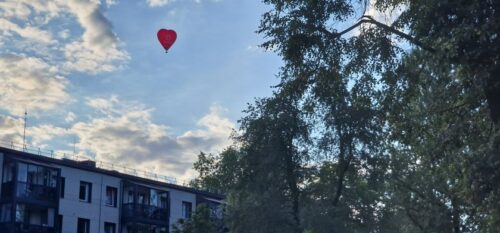 Naujamiestis: tvarkymas tik dabar pasivijo populiarumą