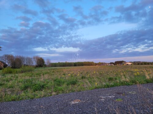 Žemės sklypas  Kurmaičiai, Darbėnų pl.