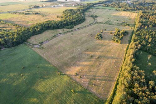 Žemės sklypas  Jakai,