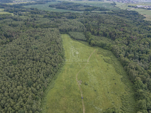 Žemės sklypas  Radailiai,