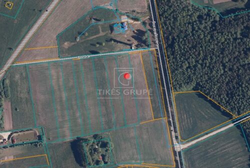 Žemės sklypas  Agluonėnai,