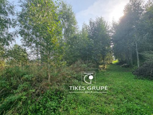 Žemės sklypas  Šakiniai,