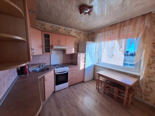 2 kambarių butas  Leitgiriai, Paupio g.