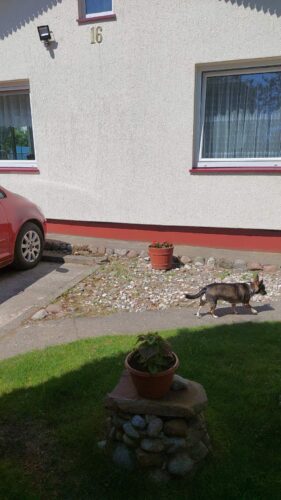 Ieškote įrengto ir jaukaus būsto netoli Klaipėdos