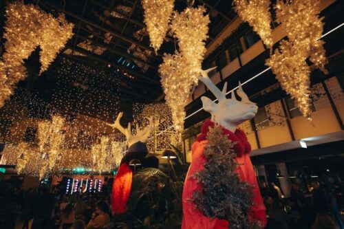 Paupys ruošiasi žiemos šventėms: jame įsikūrė netradiciškai pasipuošę Kalėdų elniai