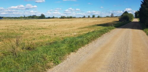 Žemės sklypas  Gargždai,