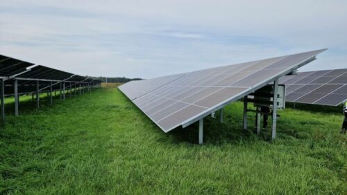 Turto banko pastatai naudos tik žaliąją elektros energiją