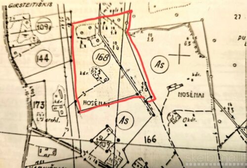 Sklypas šalia miško