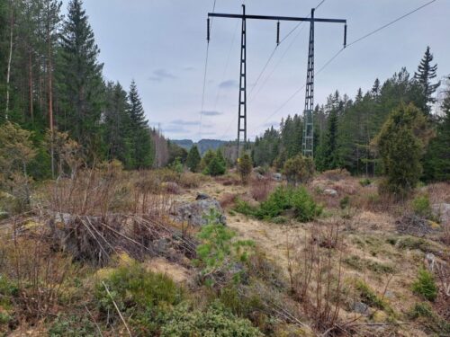 ,,Žilinskis ir Co” Švedijoje gavo itin įpareigojančią užduotį