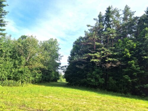 Žemės sklypas  Babrungėnai,