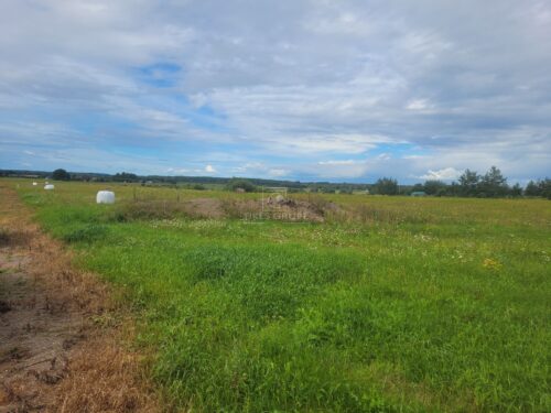 Žemės sklypas  Pangesai,