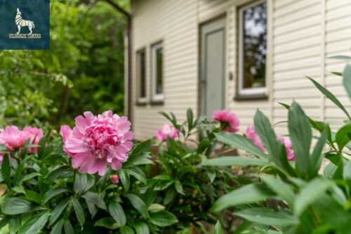 6 kambarių namas  Antakalnis, Gelvadiškių Sodų 5-oji g.