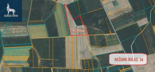 Žemės sklypas  Kiemėnų k.,