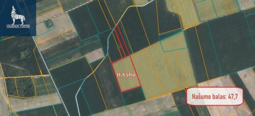 Žemės sklypas  Kiemėnų k.,