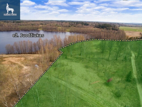 Žemės sklypas  Petrauskų k.,