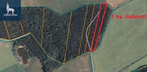 Žemės sklypas  Kurmelionių k.,