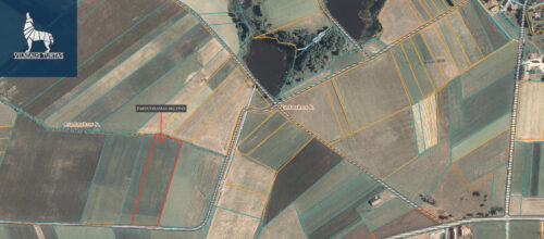 Žemės sklypas  Aladaukos k.,