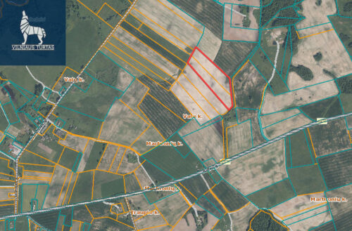 Žemės sklypas  Martnonių k.,