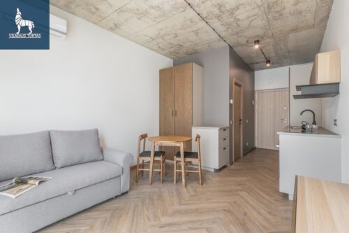 1 kambario butas  Žvėrynas, Paribio g.