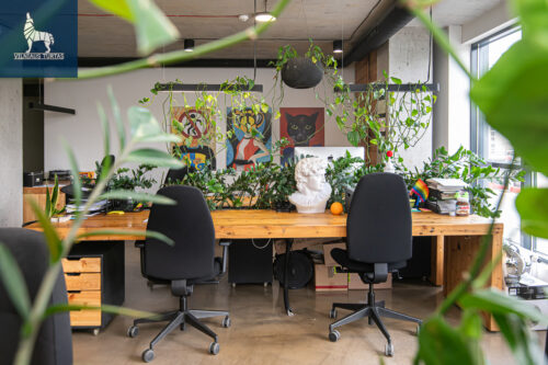 Patalpos  Naujamiestis, Kauno g.