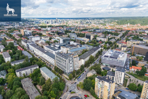 1 kambario butas  Naujamiestis, Vytenio g.