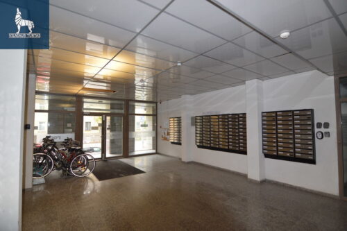 2 kambarių butas  Naujamiestis, Vytenio g.