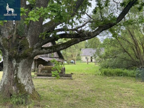 butas  Gajaučiznos k., Gajauciznos k. 3