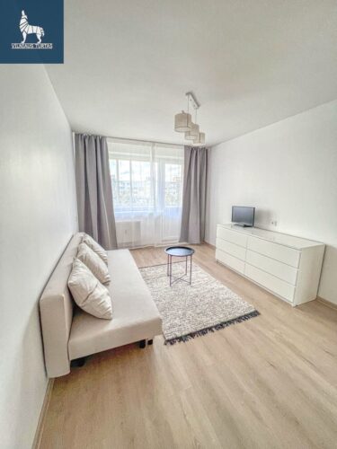 2 kambarių butas  Naujamiestis, Gerosios Vilties g.