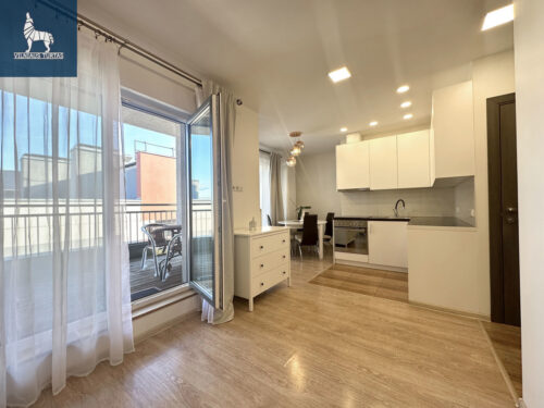 1 kambario butas  Pašilaičiai, Pavilnionių g.