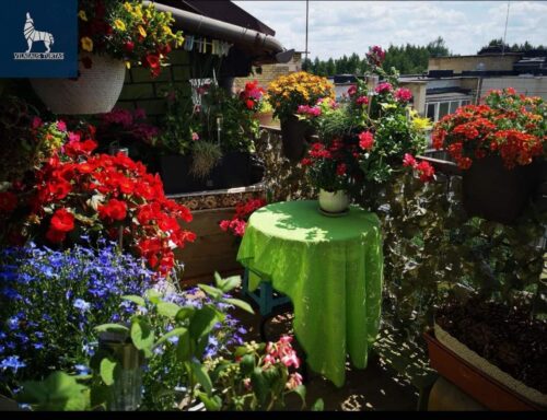 2 kambarių butas  Naujoji Vilnia, Gerovės g.
