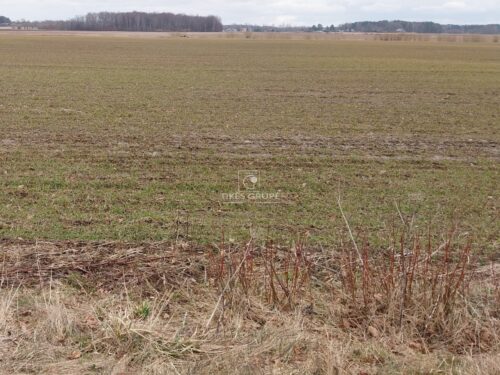 Žemės sklypas  Agluonėnai, Žagarų g.