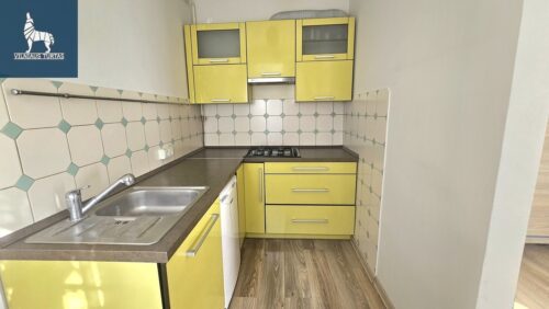 1 kambario buto nuoma Naujamiestis, J. Basanavičiaus g.