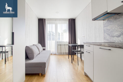 1 kambario buto nuoma Žirmūnai, Žirmūnų g.