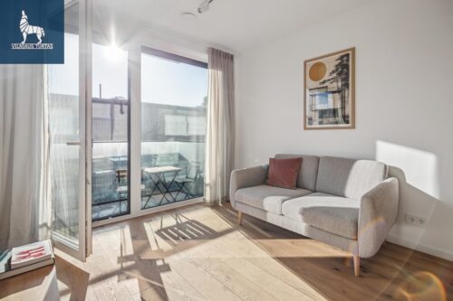 2 kambarių buto nuoma Naujamiestis, Algirdo g.