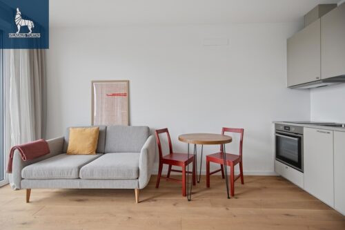 2 kambarių buto nuoma Naujamiestis, Algirdo g.