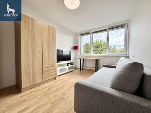 1 kambario buto nuoma Naujininkai, Kapsų g.