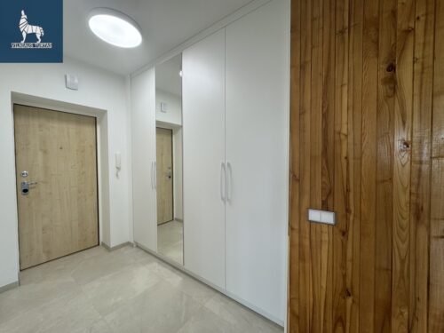 1 kambario buto nuoma Šiaurės miestelis, V. Nagevičiaus g.