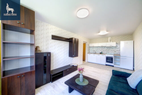 2 kambarių butas  Naujininkai, Rodūnios kelias